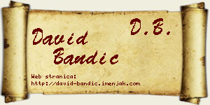 David Bandić vizit kartica